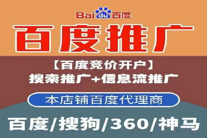 专业竞价SEM托管成功案例解析